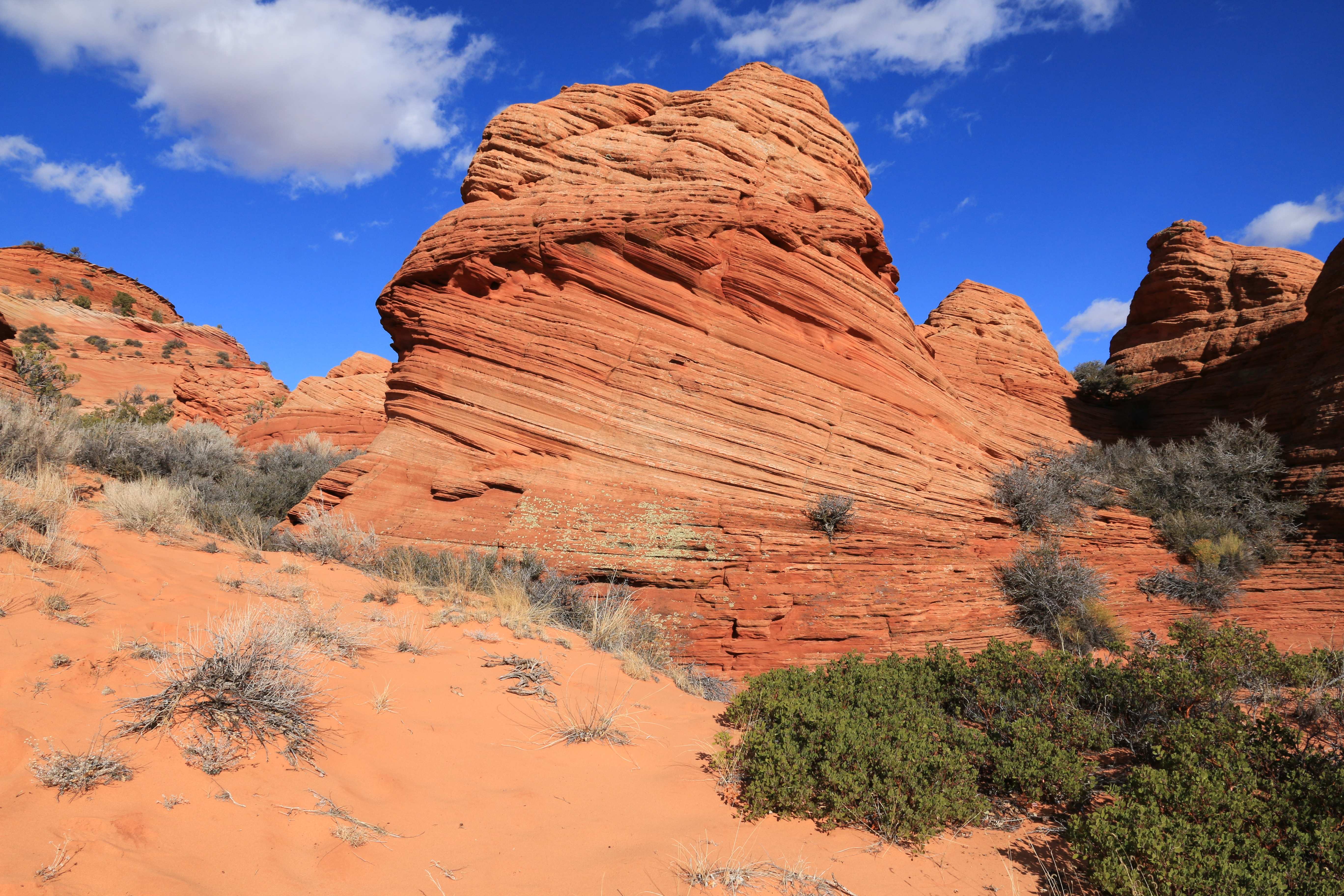 Coyote Buttes